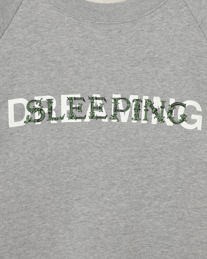 'DREAMING' GREY SWEATSHIRT